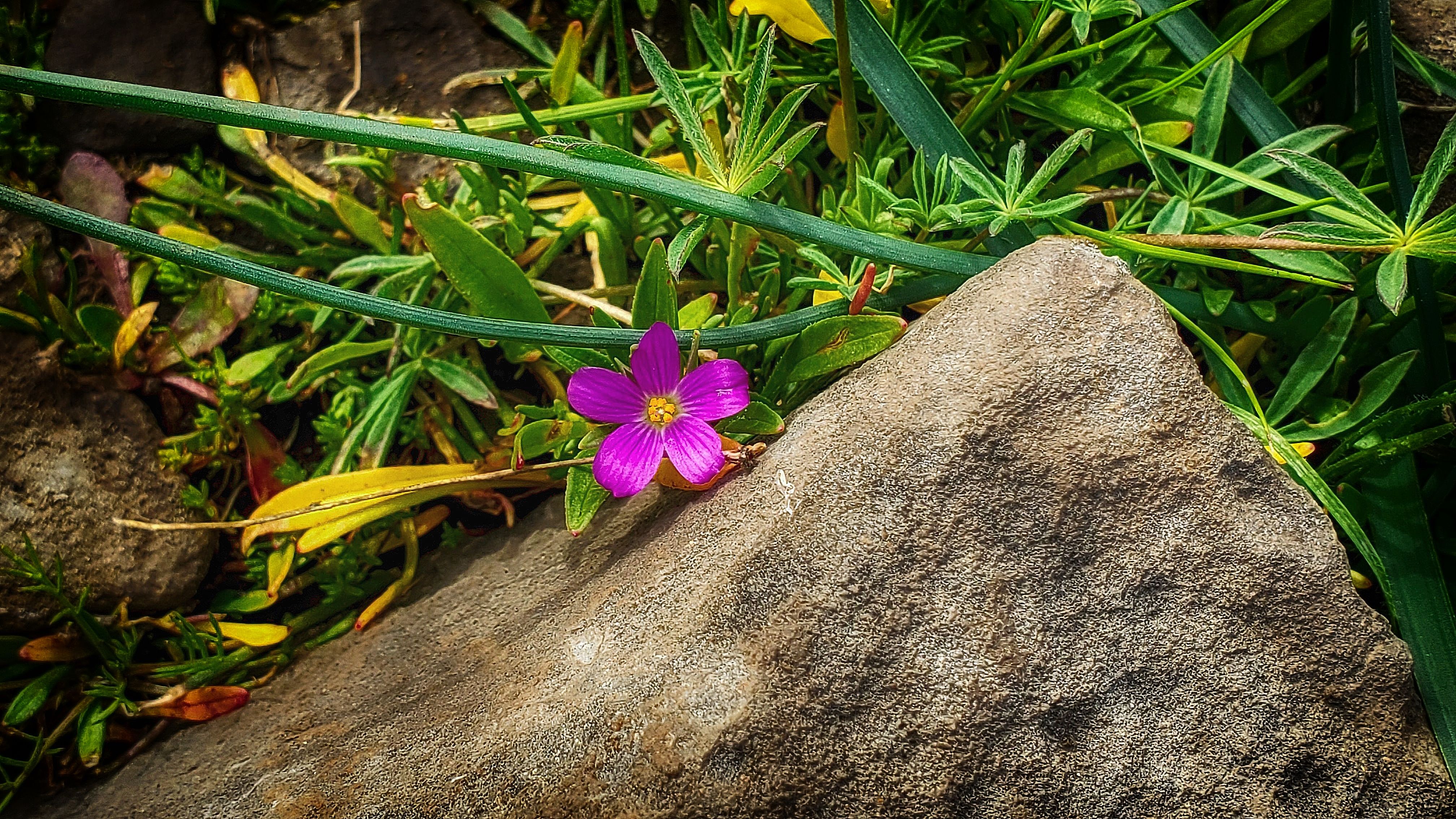 Stones Unturned 'longside Our Paths